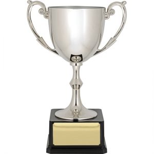 Recognition Cup