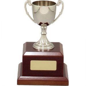 Silver Engravable Cup