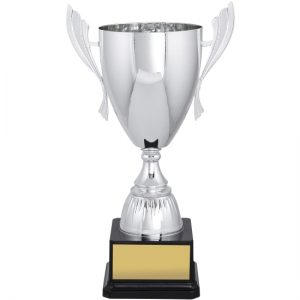 Iron Man Metal Cup Silver