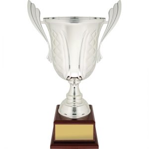 Celebration Silver Metal Cup