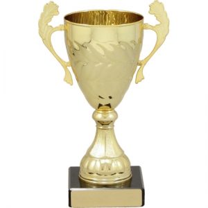 Cup with Handles