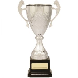 Cup with Handles