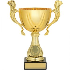 Gold Lucca Cup