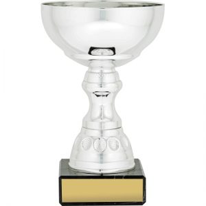 Silver Reverie Cup