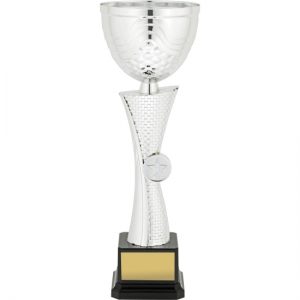 Silver Helix Cup