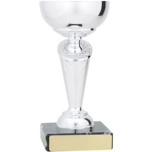 Cup Valiant