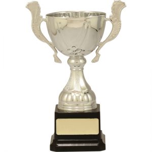 Turin Cup Silver