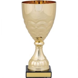 Conical Bowl
