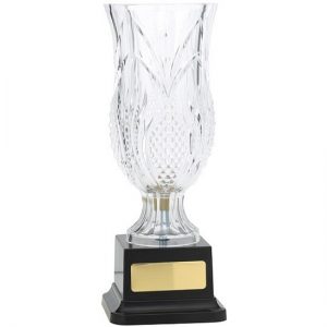 Acrylic Vase