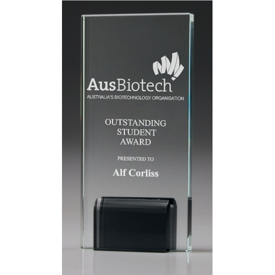 Rectangle Glass Awards - Image 4