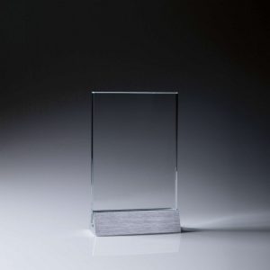 Glass Metal Portrait