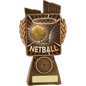Netball Lynx Theme