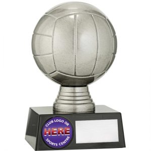 Netball 3D Ball FF