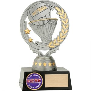Silver Netball With 25mm Centre