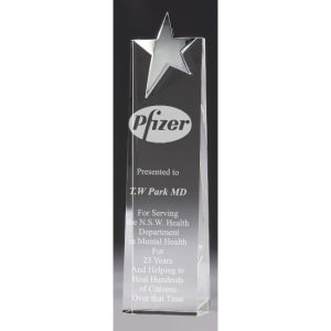 Top Star Award - Tower