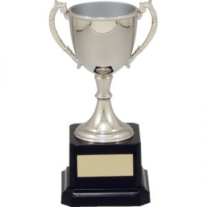 Silver Engravable Cup