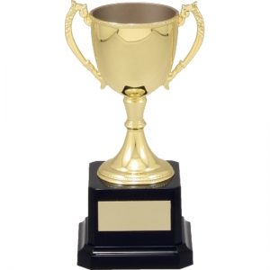Gold Engravable Cup