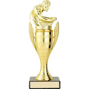 Pool Guardian Cup