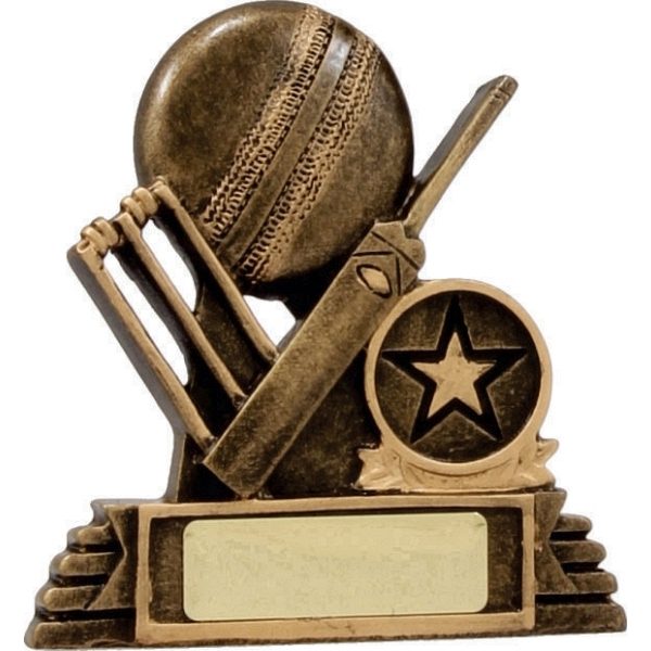 Cricket Ball, Bat & Stumps 100mm
