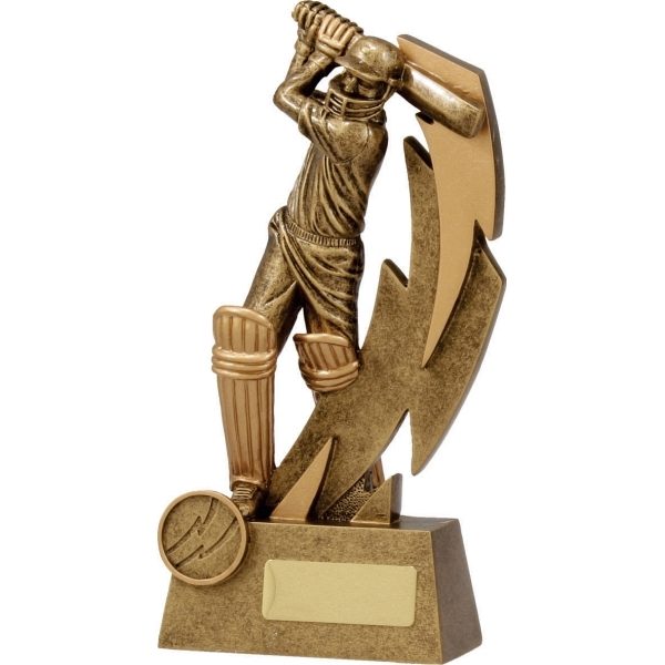 Cricket Shazam Batsman 160mm - Image 3