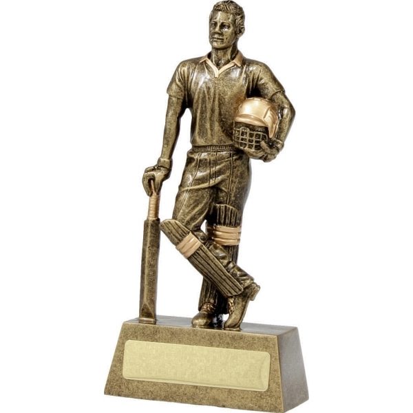 Cricket Hero Batsman 160mm - Image 2