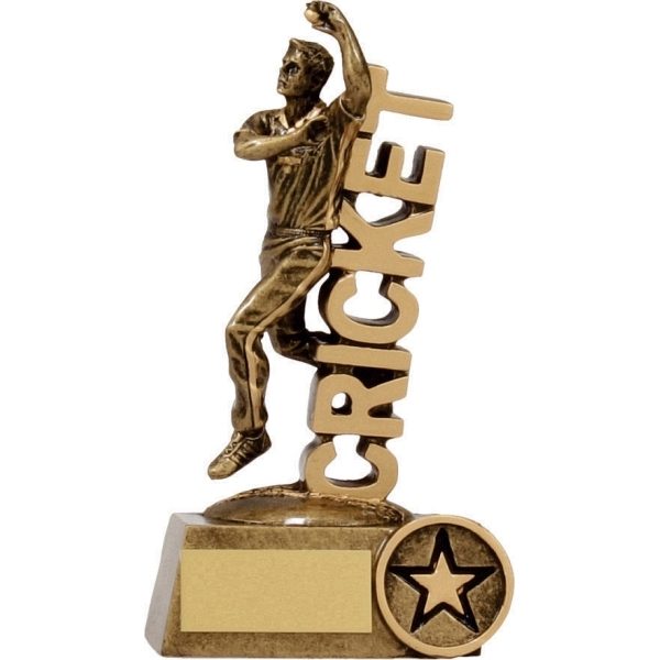 Cricket 'Word' Bowler 140mm