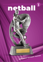 Netball Evaton 2026